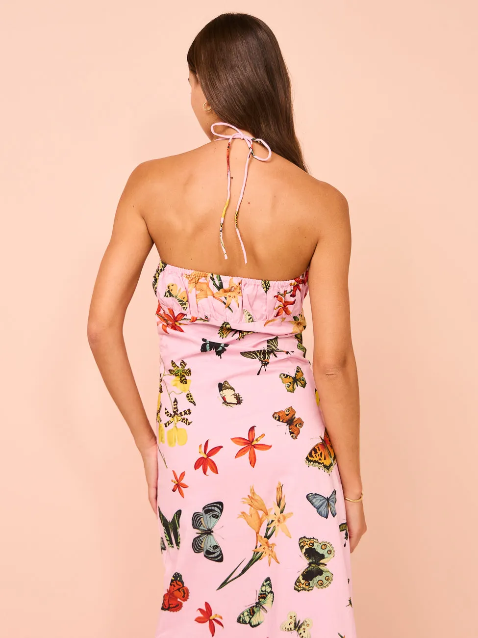 Ambra Maddalena Daisy Halterneck Dress in Butterfly Garden