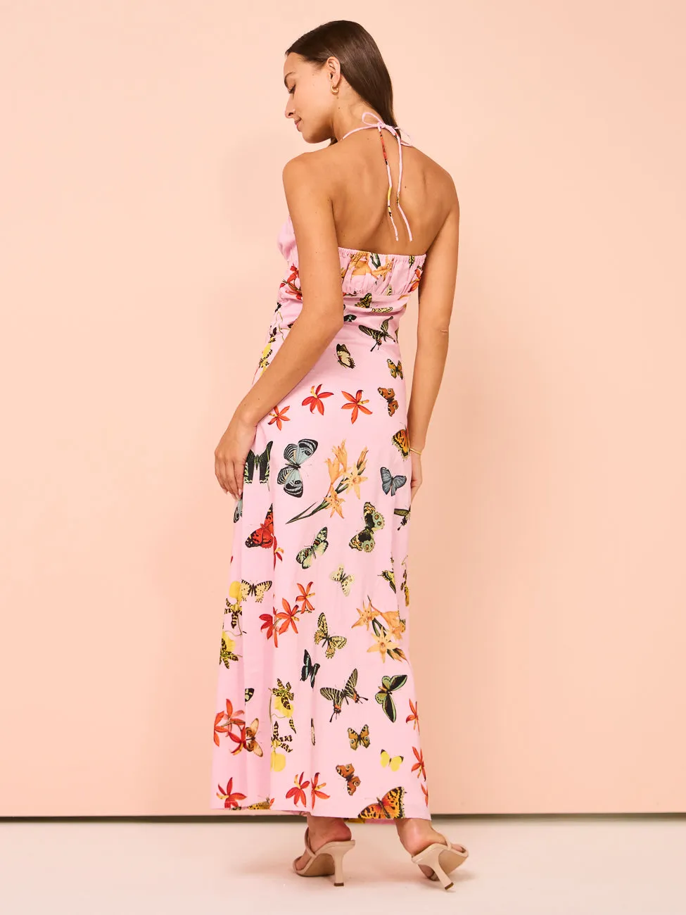 Ambra Maddalena Daisy Halterneck Dress in Butterfly Garden