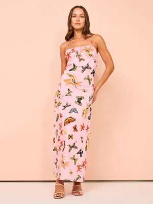 Ambra Maddalena Daisy Halterneck Dress in Butterfly Garden