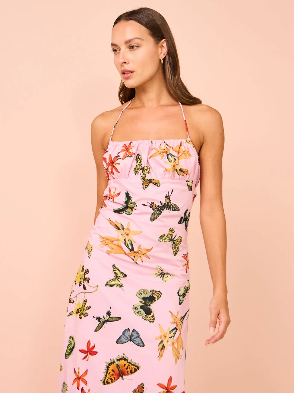 Ambra Maddalena Daisy Halterneck Dress in Butterfly Garden