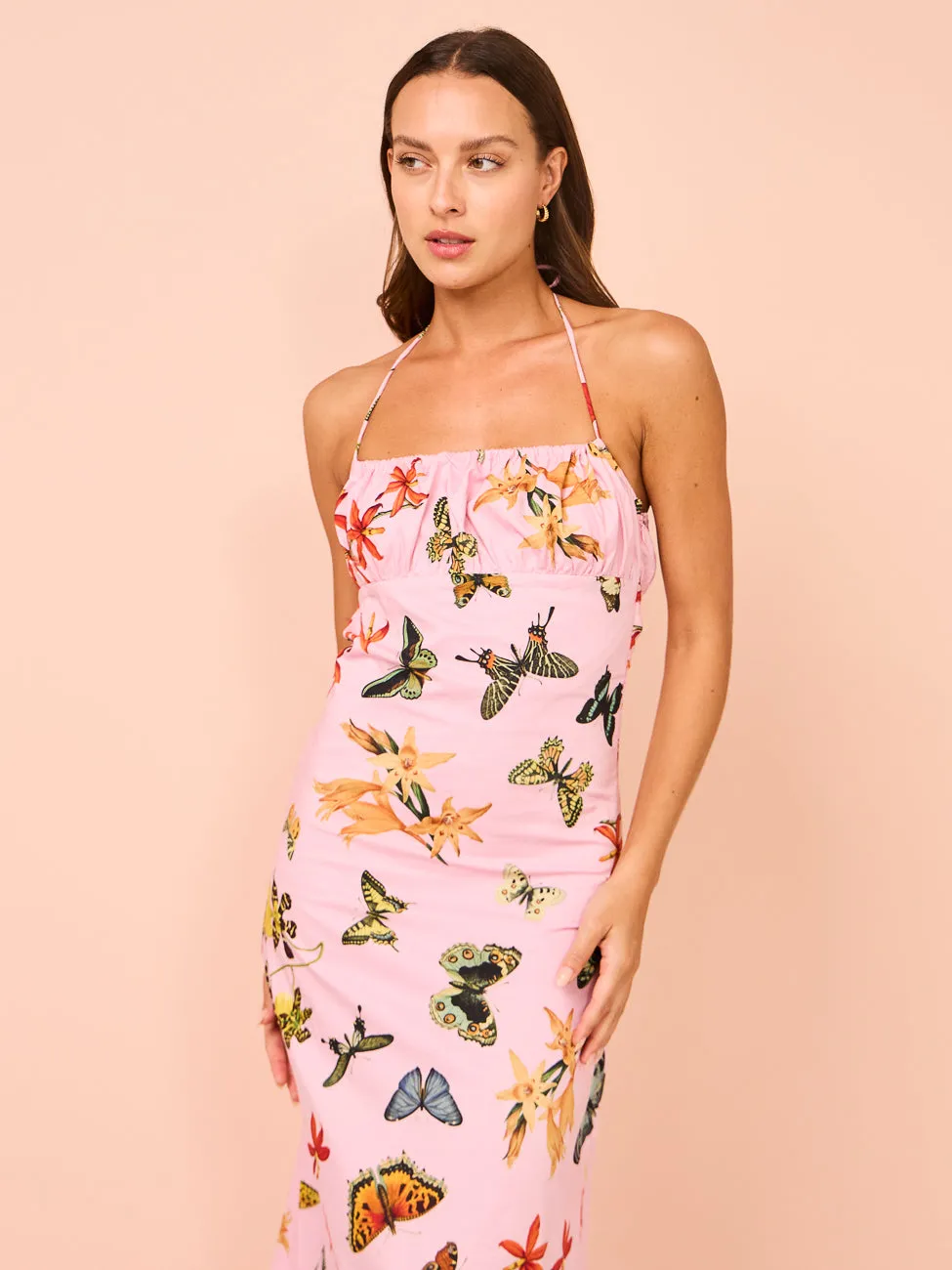 Ambra Maddalena Daisy Halterneck Dress in Butterfly Garden
