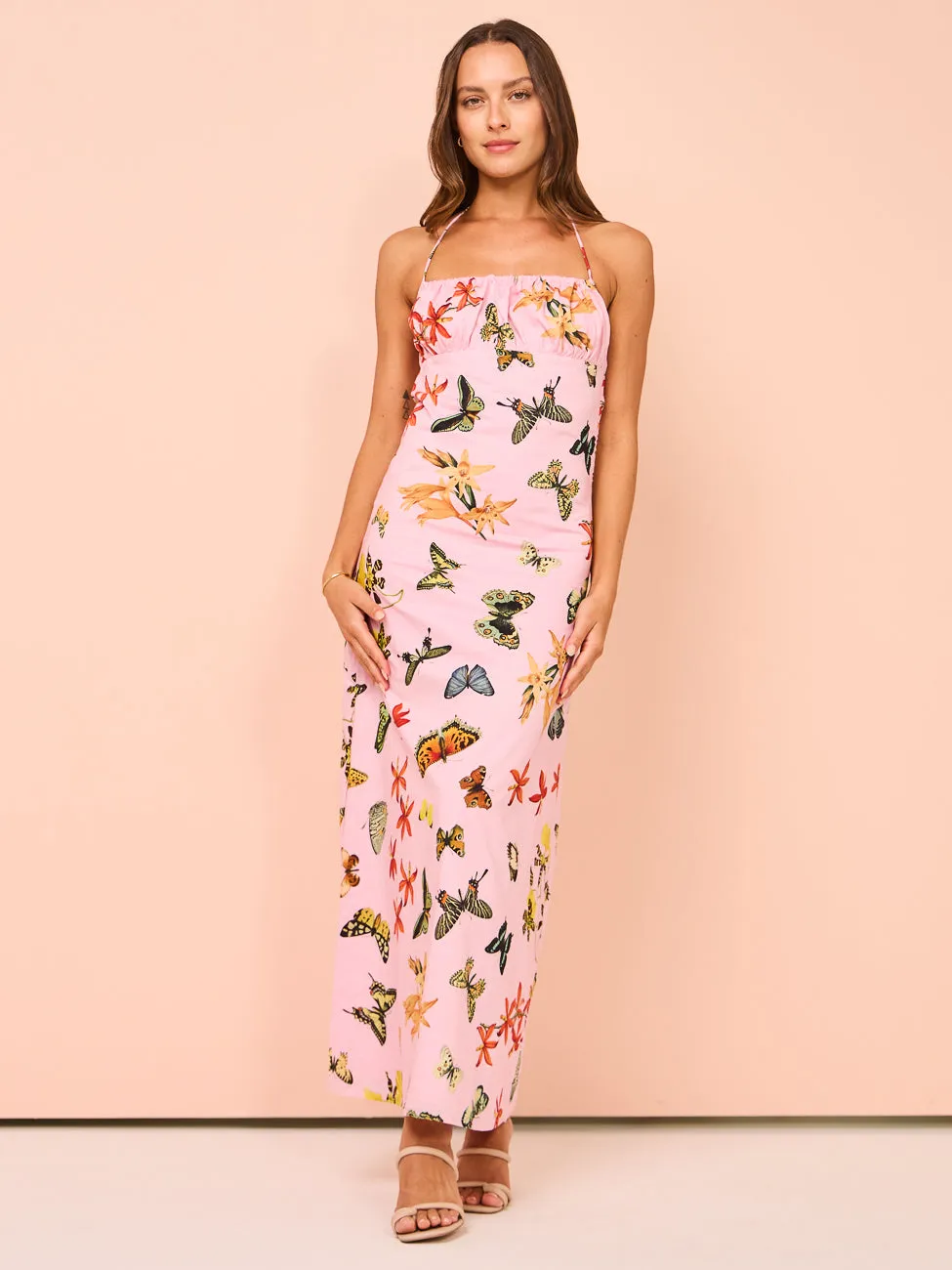 Ambra Maddalena Daisy Halterneck Dress in Butterfly Garden